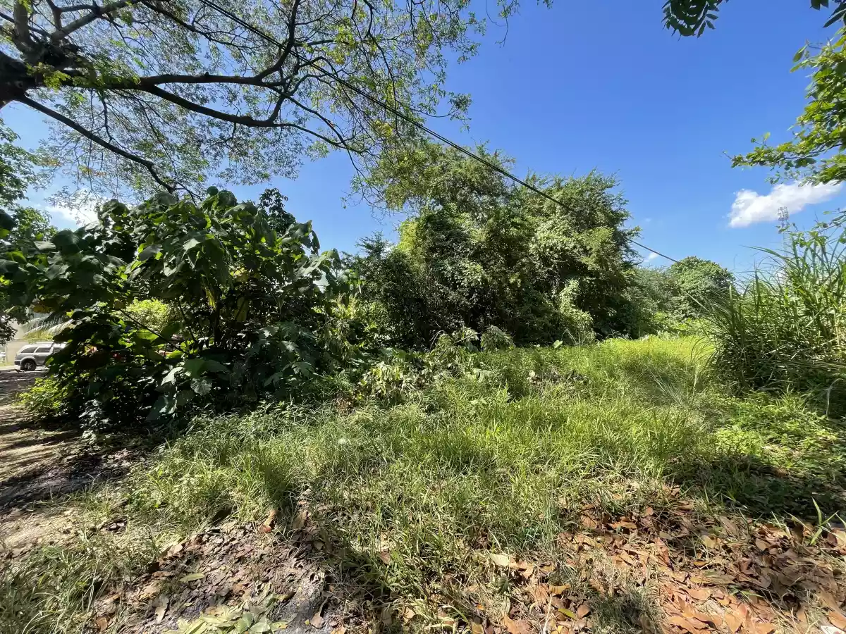 Prime Commercial Lot for Sale in Canitoan, Cagayan de Oro City — Commercial Lot in Misamis Oriental, Philippines — Photo 2