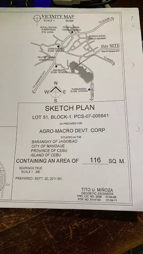 Lot for sale Maria Luisa Heritage — Commercial Lot in Mandaue City, Cebu, Philippines — Photo 4