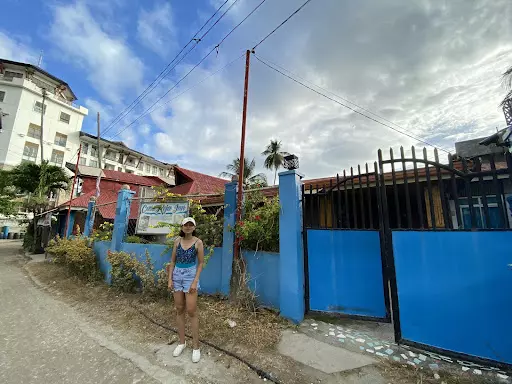 Open photo 19 of 19 — Commercial Lot for sale in Bohol