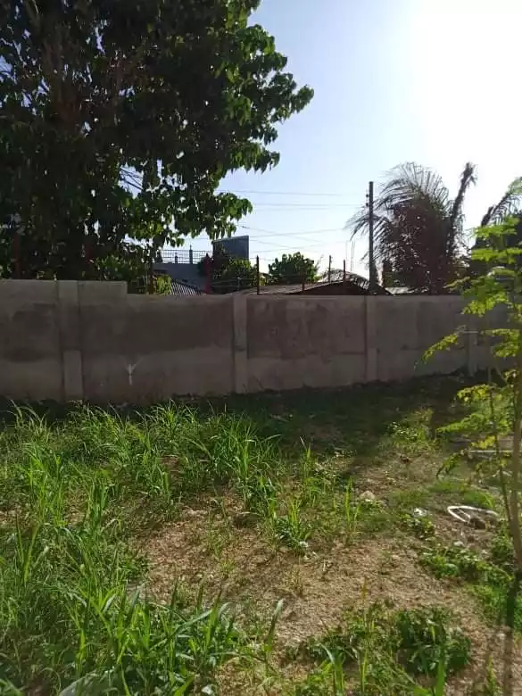 For Rent House & Lot - photo 7