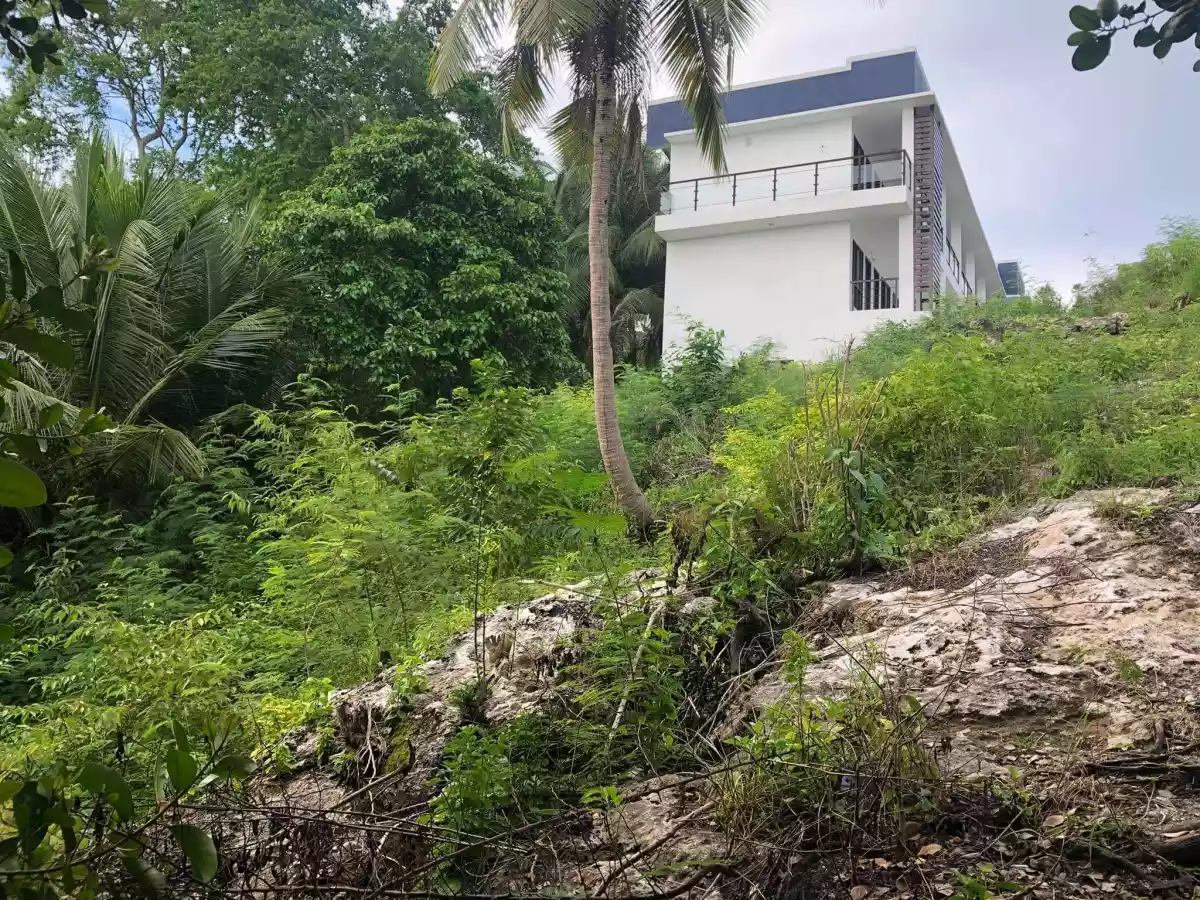 Beach Lot Property for Sale - photo 6