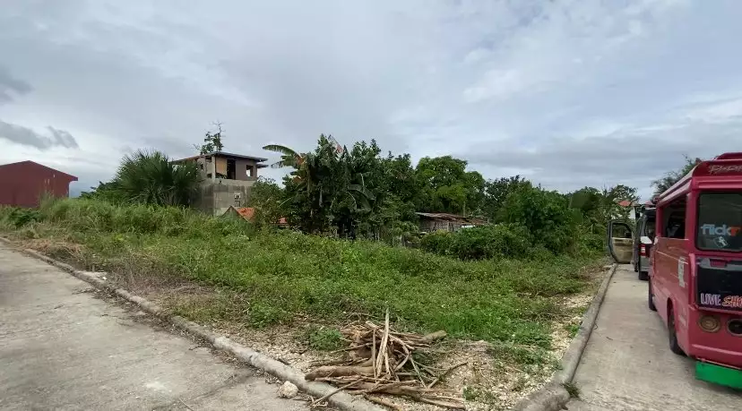 Residential Corner Lot — Residential Lot in Bajac Road, Liloan, Cebu — Photo 3