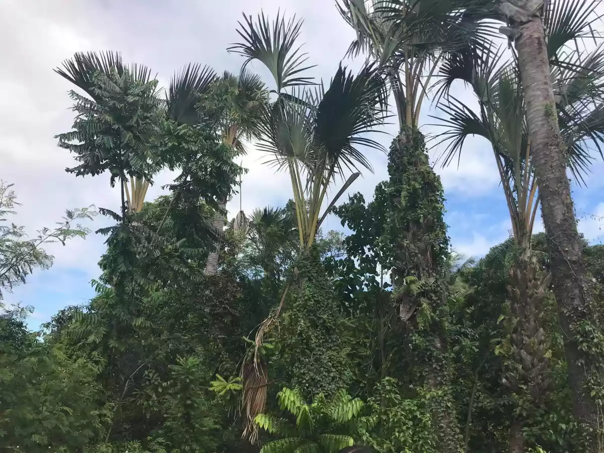 Lot for Sale - Rush Titled Property - photo 6
