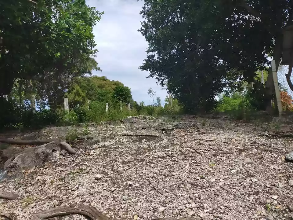 776sqm beachfront lot for sale in Pangangan Island Calape Bohol 4k per sqm - photo 4