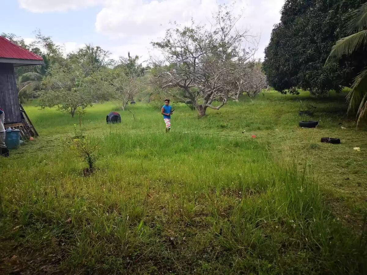 Property for Sale in panglao — Residential Lot in Bohol, Philippines — Photo 5