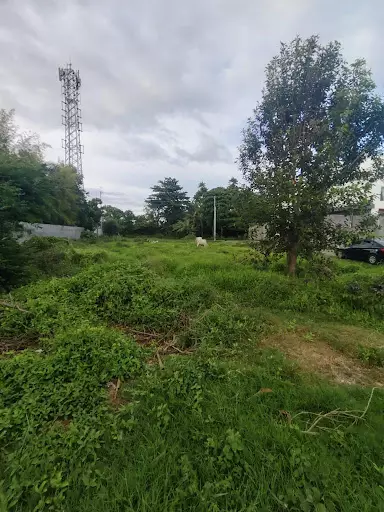 Lot — Residential Lot in South Cotabato, Philippines — Photo 3