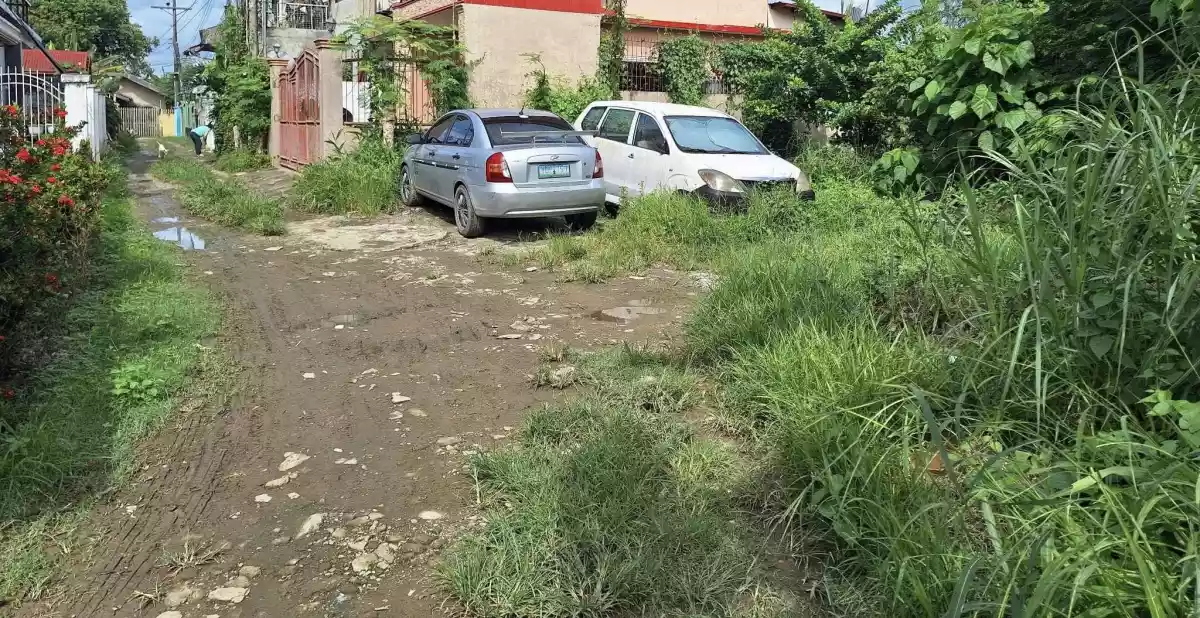 Lot for sale in Talisay City,Cebu - photo 3