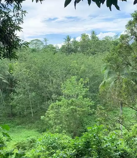 Panabo agri lot