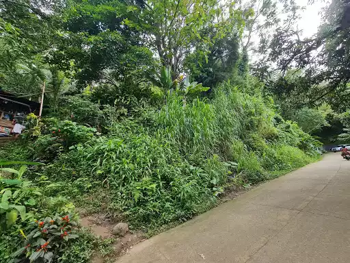 Lot for Sale — Commercial Lot in Cebu City, Cebu, Philippines — Photo 4