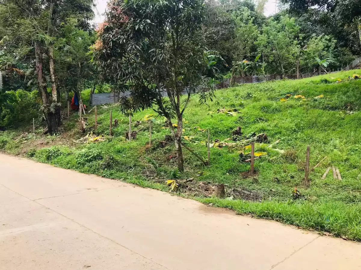 For Sale Lot - photo 2