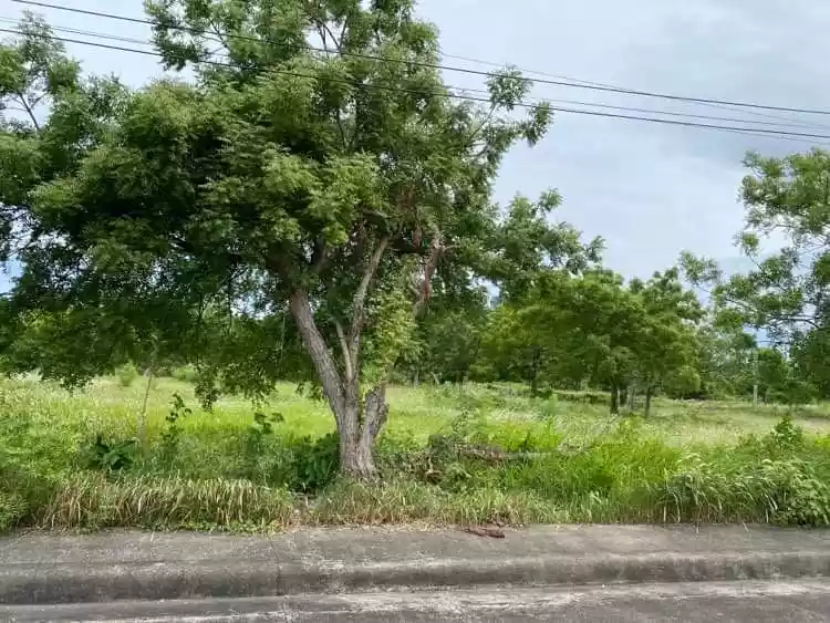 Vista Mar Lot For Sale  - photo 3