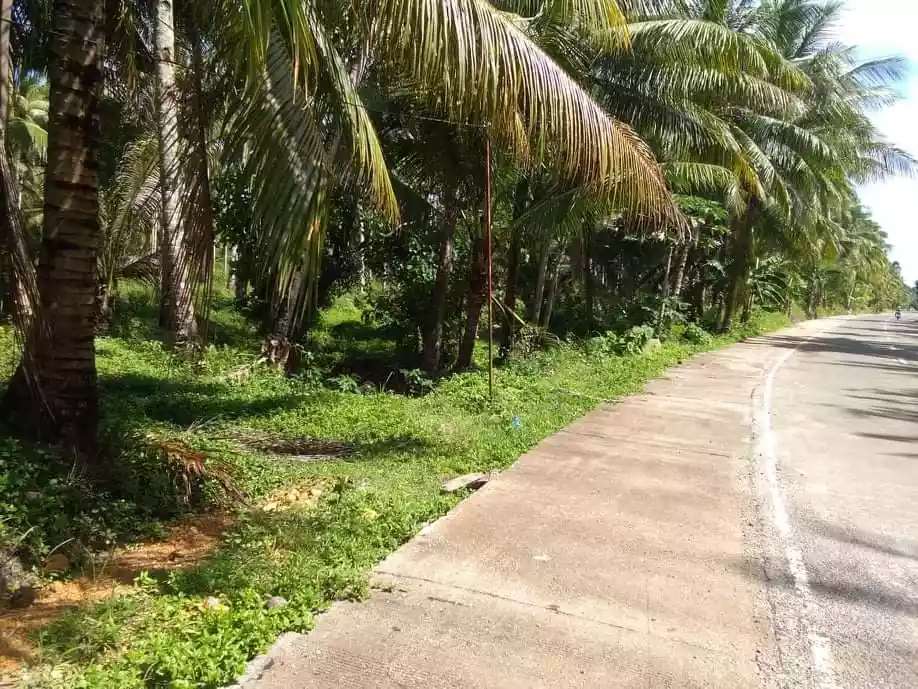 Beach Lot For Sale Sta. Monica, Siargao  - photo 4