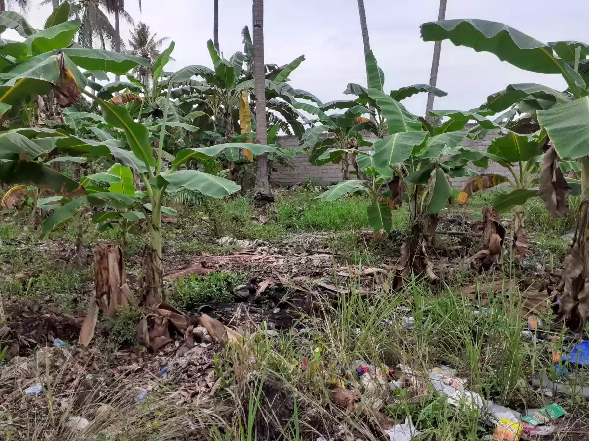 Lot 2.5 hectares - photo 3