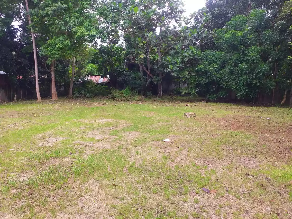 Residential Lot in Tagbilaran City - photo 3