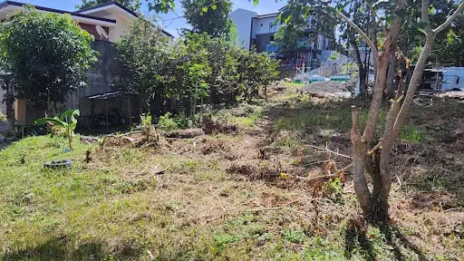 Corner lot for sale in Metropolis Subdivision Phase 2, Bacayan Cebu City — Residential Lot in Upper Bacayan, Cebu City, Cebu — Photo 3