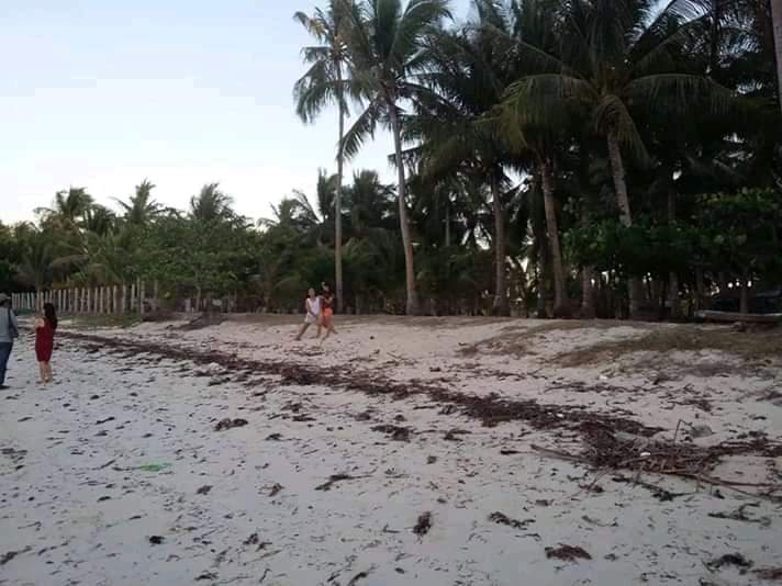 Tax declaration - photo 3