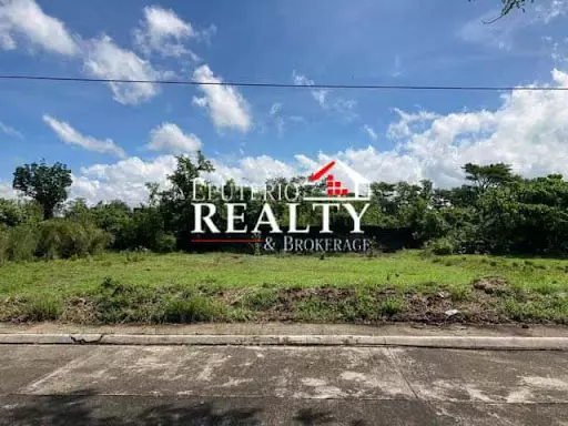Rush Residential lot for sale — Residential Lot in Camarines Sur, Philippines — Photo 3