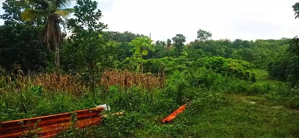 Affordable lot - photo 7