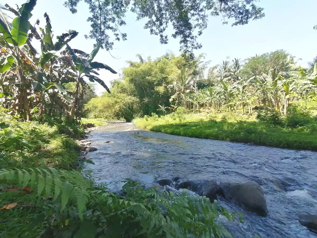 âœ¨Farm area ideal for rest house or retreat house âœ¨ - photo 7