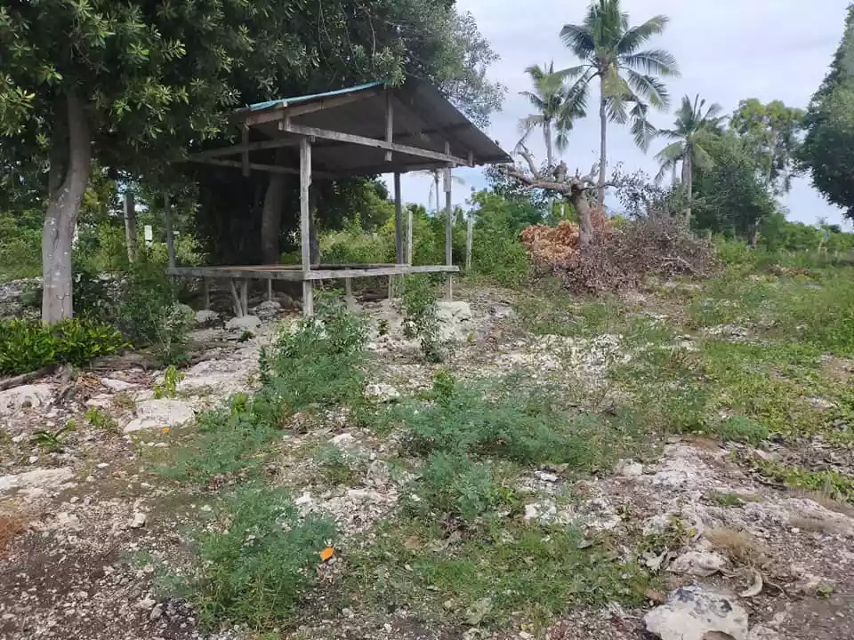 776sqm beachfront lot for sale in Pangangan Island Calape Bohol 4k per sqm - photo 7