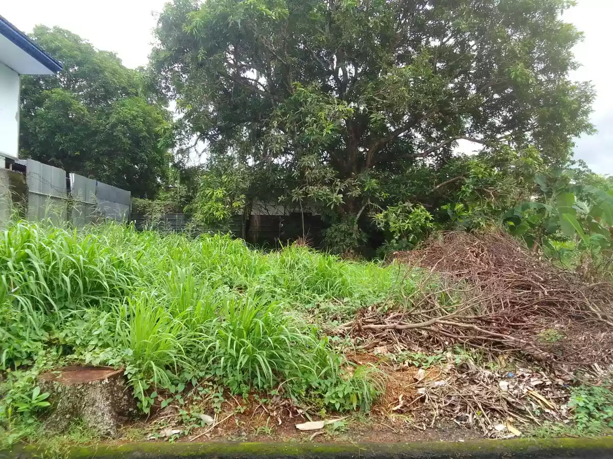 222SQM LOT FOR SALE GOLDCREST VILLAGE PHASE 3  - photo 5