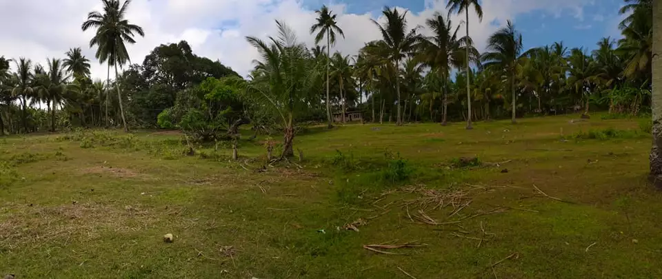 Agricultural Lot For Sale — Agricultural Lot in Cebu, Philippines — Photo 4