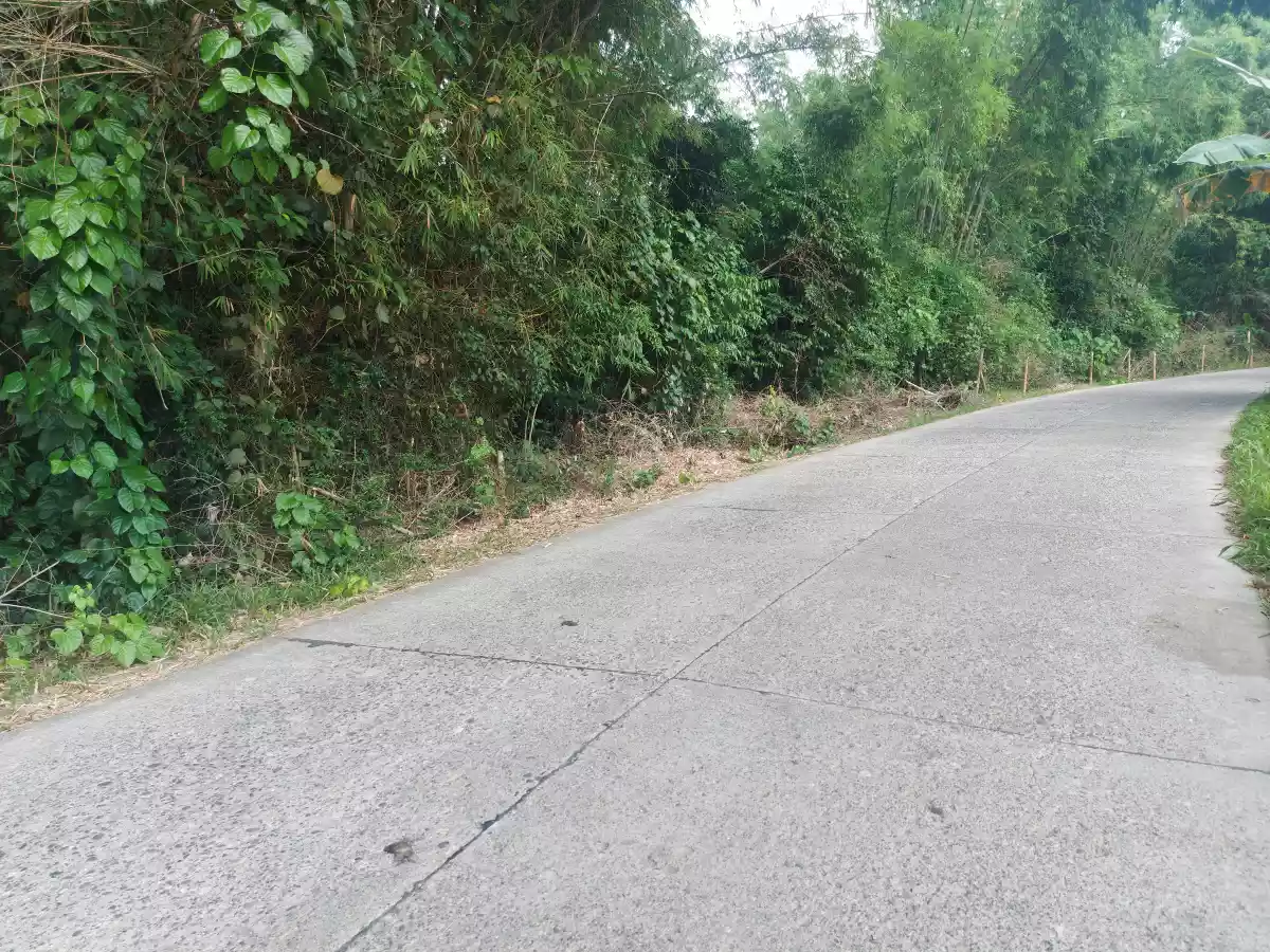 Lot for Sale in Sibulan