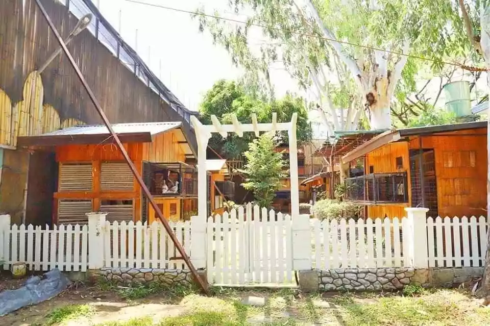 Paranaque House and Lot For Sale - photo 3