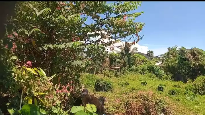 LOT FOR SALE — Residential Lot in Minglanilla, Cebu, Philippines — Photo 7