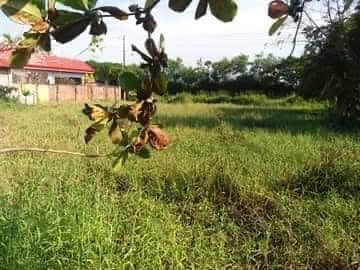 091-2014004197 — Residential Lot in Negros Occidental, Philippines — Photo 3