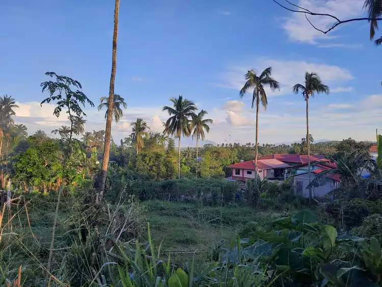 Casile Commercial Property for Sale - photo 3