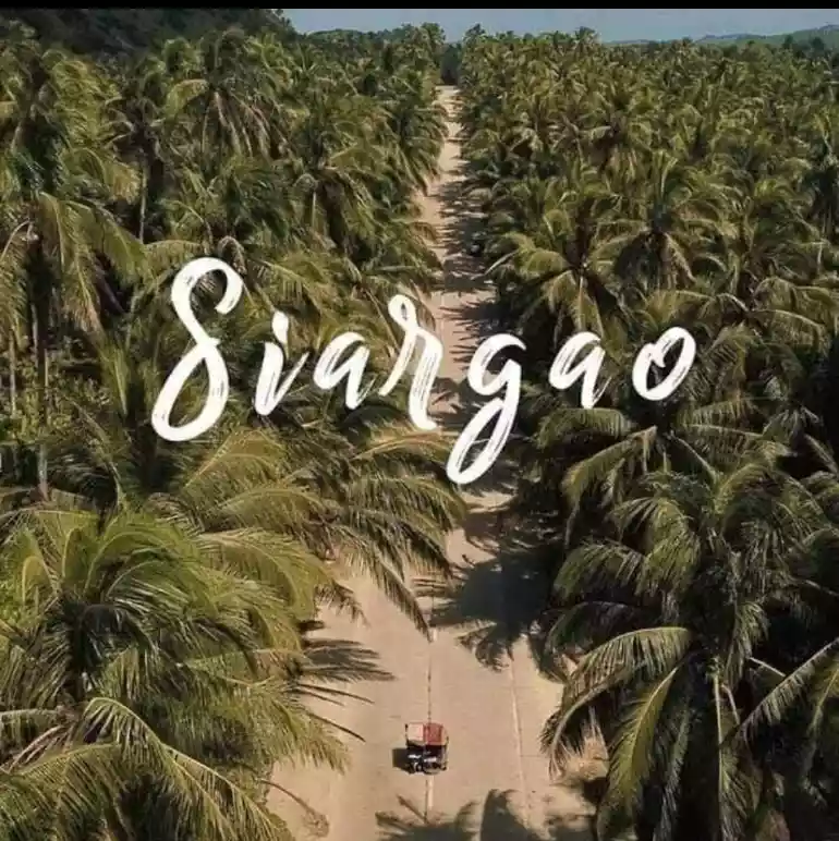 LOT BEACH FRONT FOR SALE IN PILAR, SIARGAO ISLANDS - photo 4