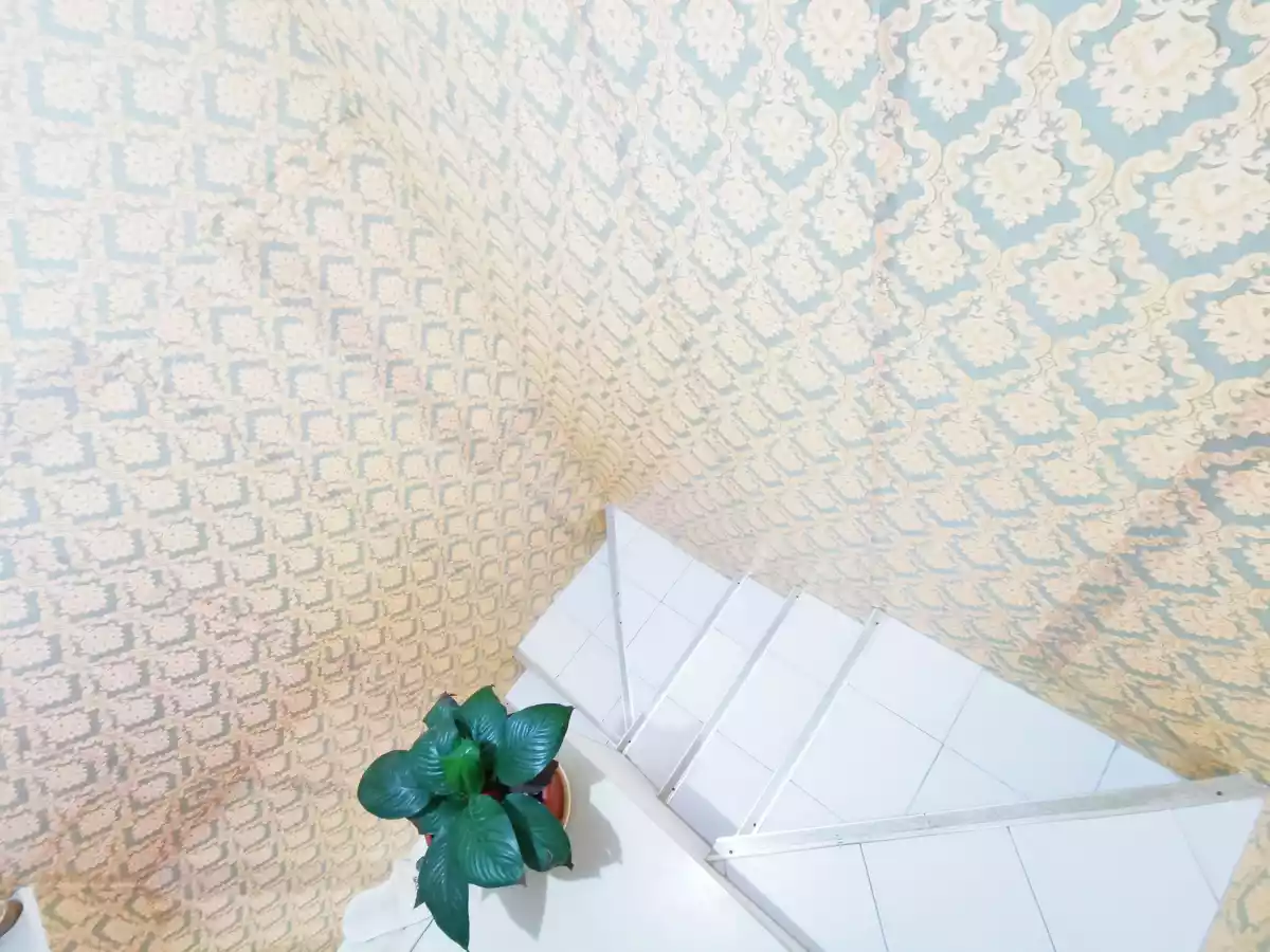 For Assume Rowhouse in Richwood Homes  - photo 6