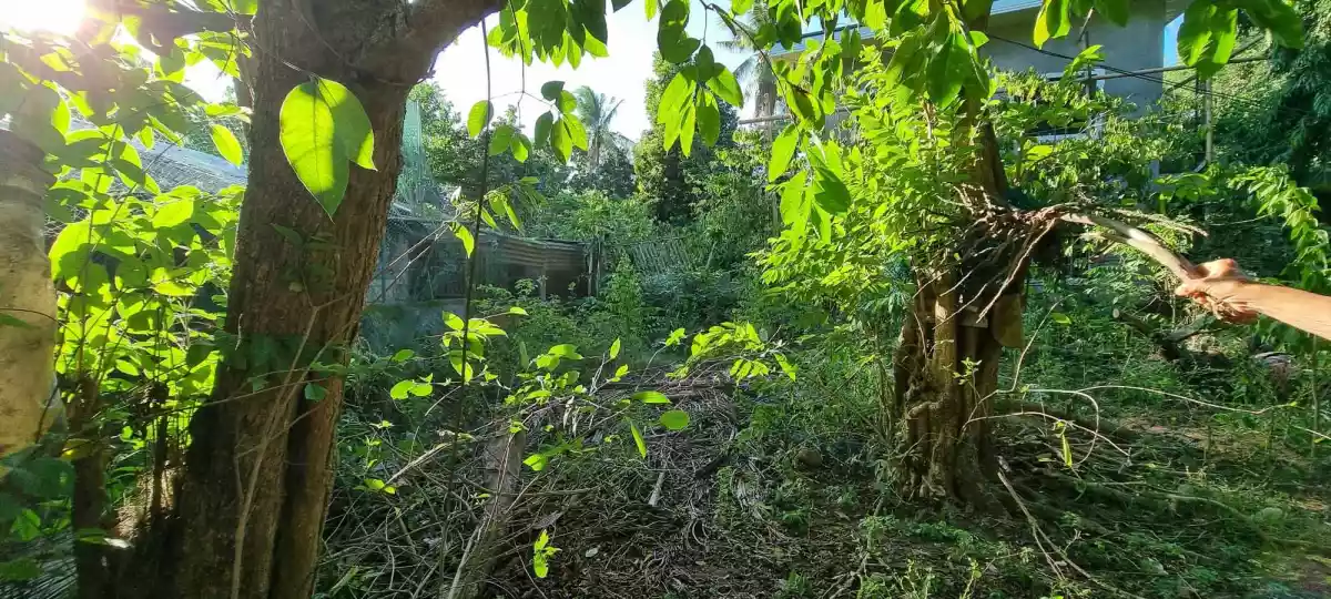 Lots for Sale in Alegre, Oton, Iloilo — Residential Lot in Oton, Iloilo, Philippines — Photo 6