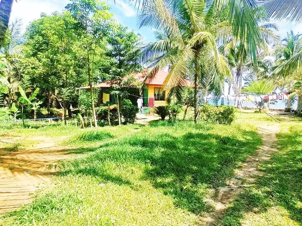 Amazing!!! Hinoba-an Beach Lot — Beach Lot in Hinoba-an, Negros Occidental, Philippines — Photo 5