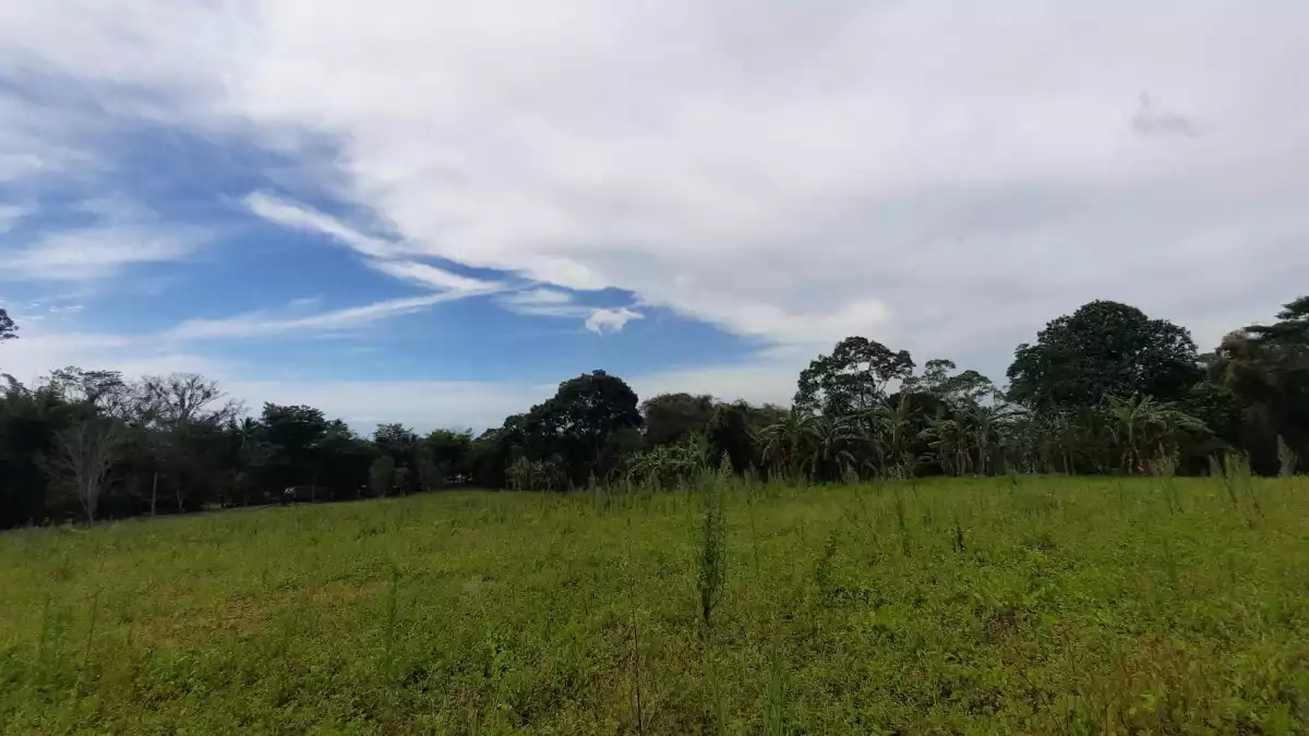 Lot for Sale in Claveria, Misamis Oriental! — Agricultural Lot in Misamis Oriental, Philippines — Photo 4