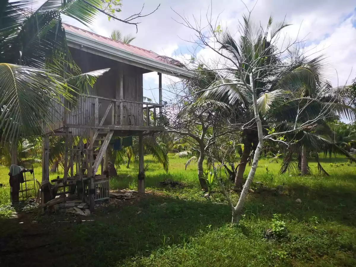 Open photo 15 of 15 — Property for Sale in panglao