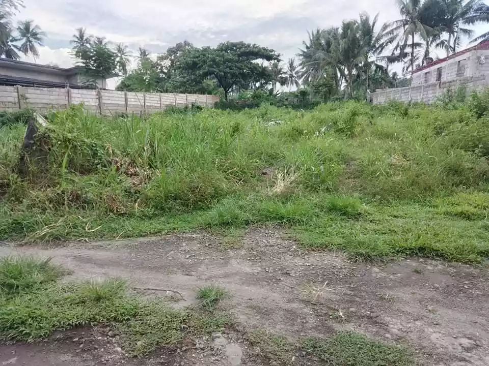 LOT FOR SALE  - photo 3