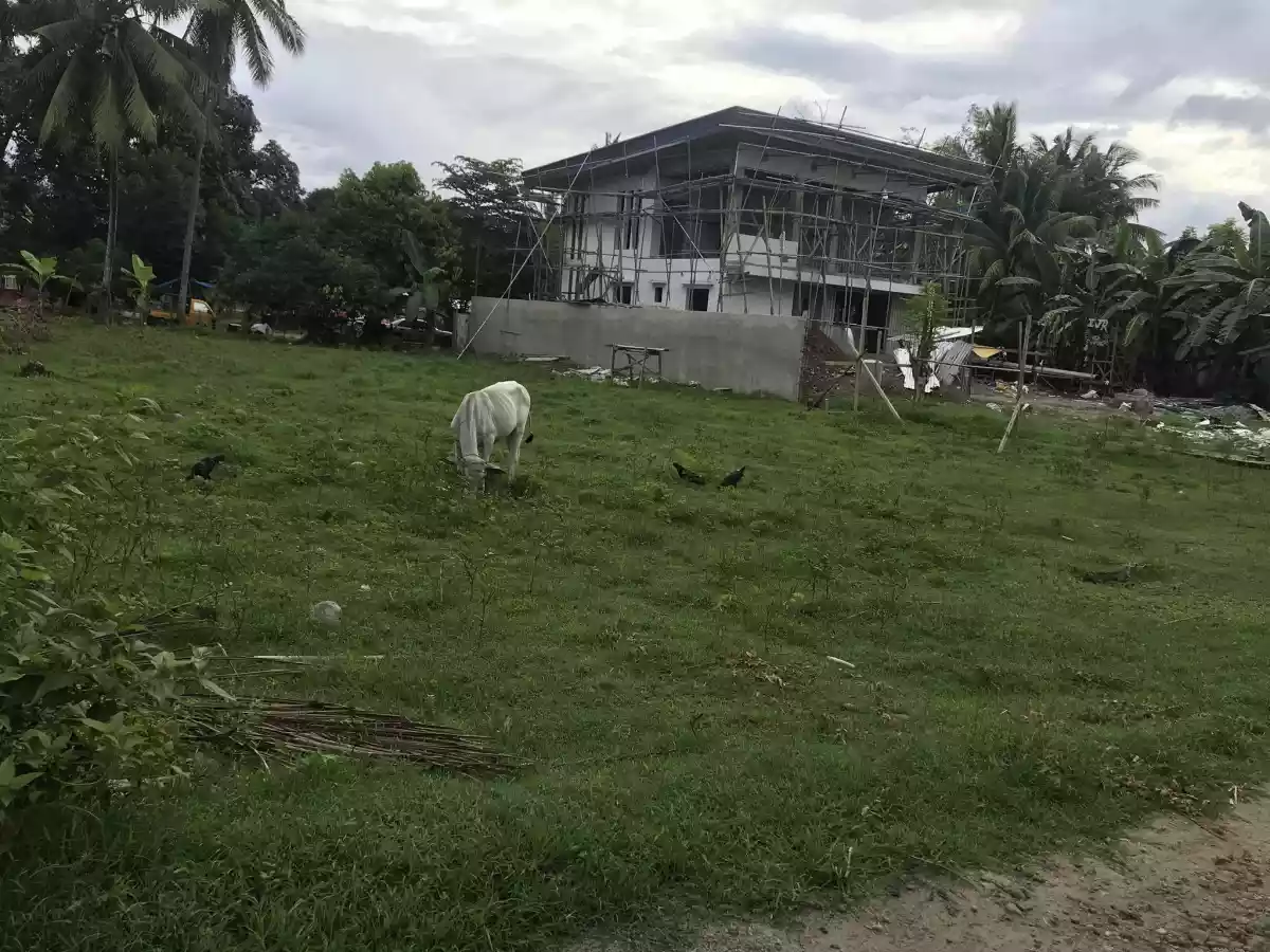 Lot for Sale — Residential Lot in Sibulan, Diversion Road, Sibulan — Photo 6