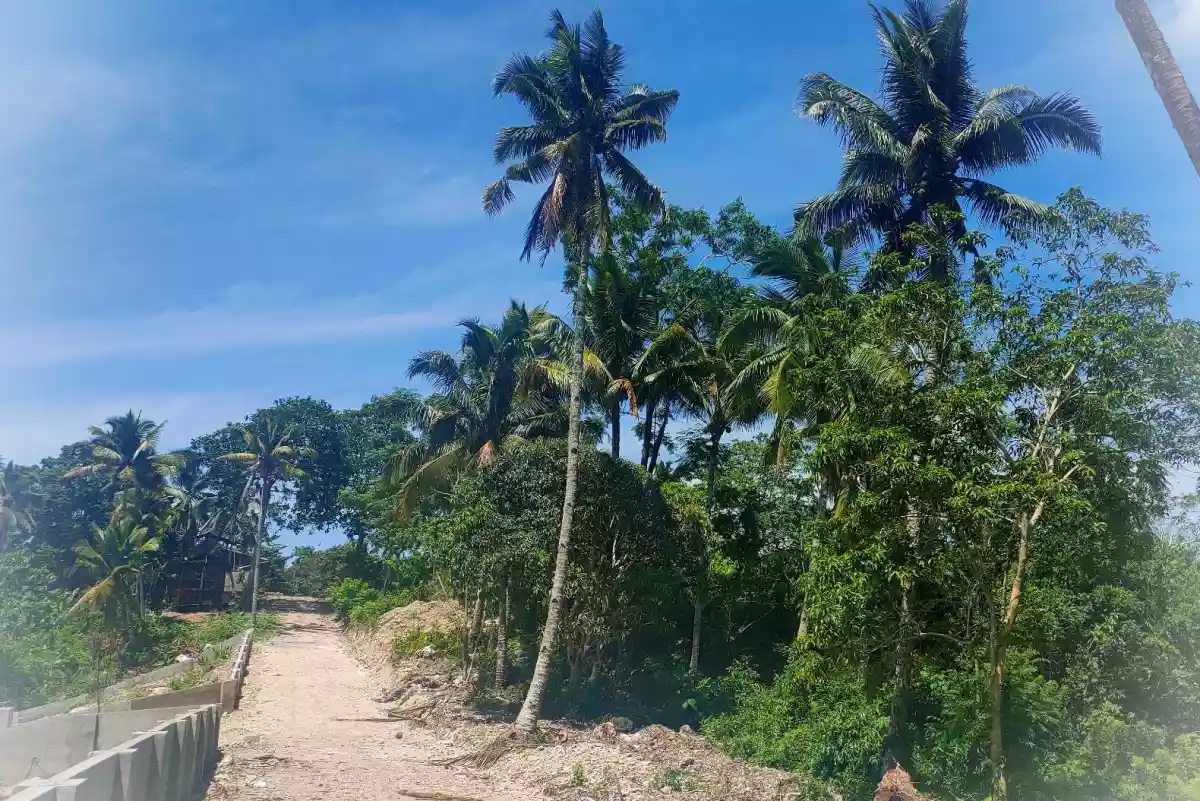 Overlooking Samal Lot Fronting High-end Resort — Residential Lot in Babak, Island Garden City of Samal, Davao del Norte — Photo 6