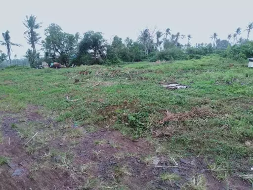 Open photo 19 of 36 — Rush!!Commercial Lot For Sale