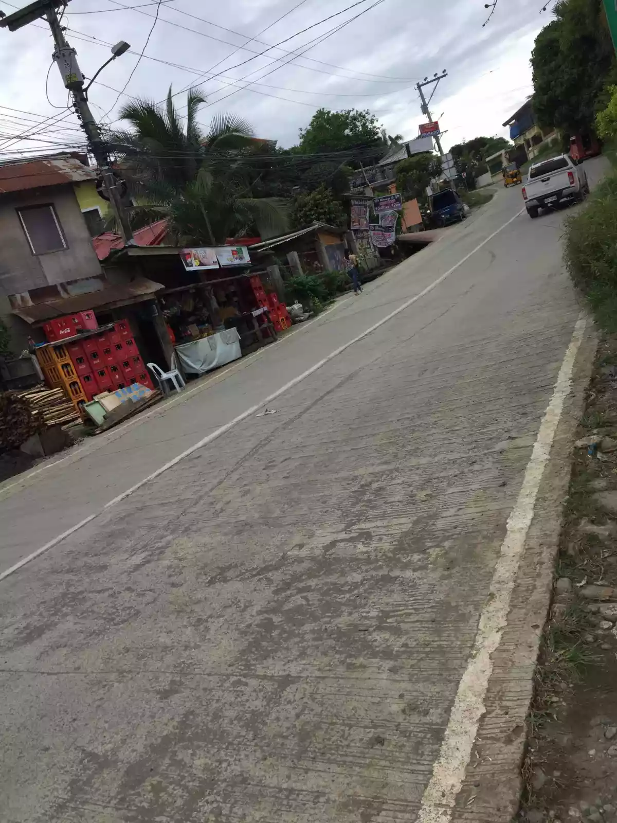 Country Homes Cabantian Residential Lot — Residential Lot in Buhangin, Davao City, Davao del Sur — Photo 6