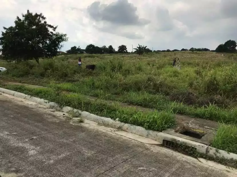 VILLA DE MERCEDES PRIME  250SQM LOT FOR SALE - photo 5