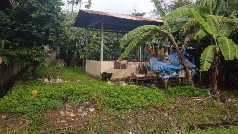 RESIDENTIAL LOT FOR SALE, JUBAY LILOAN CEBU — Residential Lot in Liloan, Cebu, Philippines — Photo 3