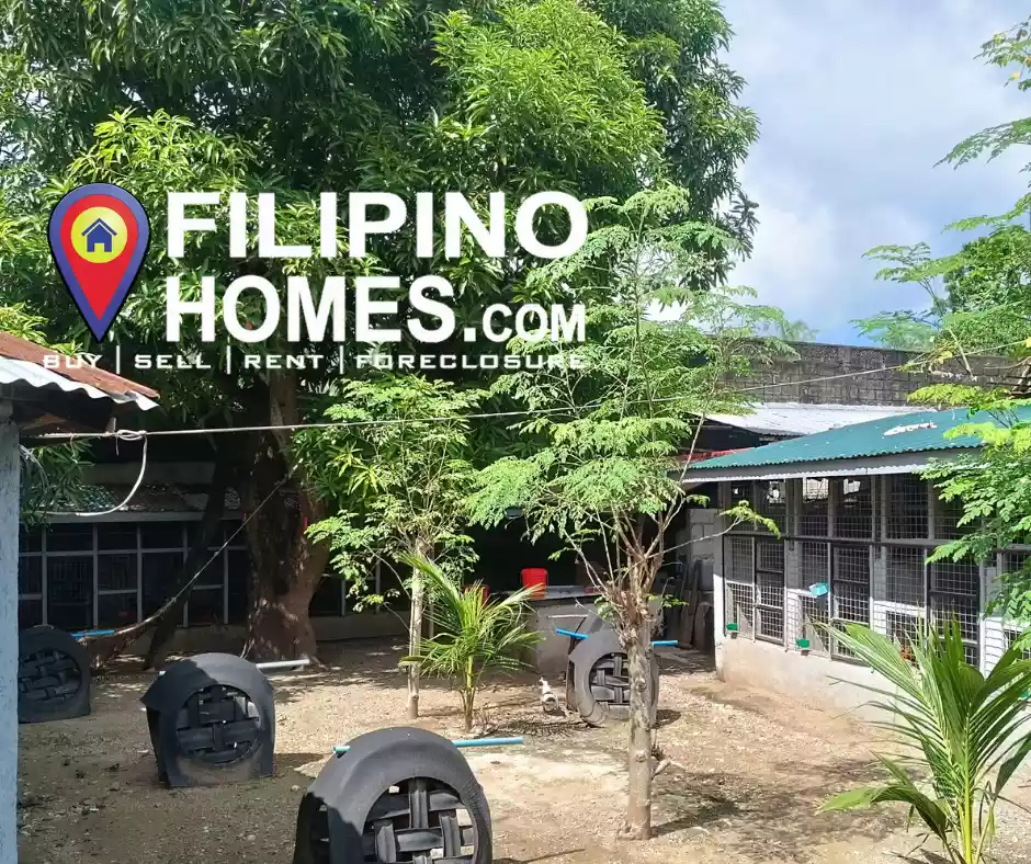For sale Farm/Residential with commercial Space in Siain Plaridel Quezon Clean Title, ideal for Residential, Apartment, Space Rental — Space in Plaridel, Quezon, Philippines — Photo 7