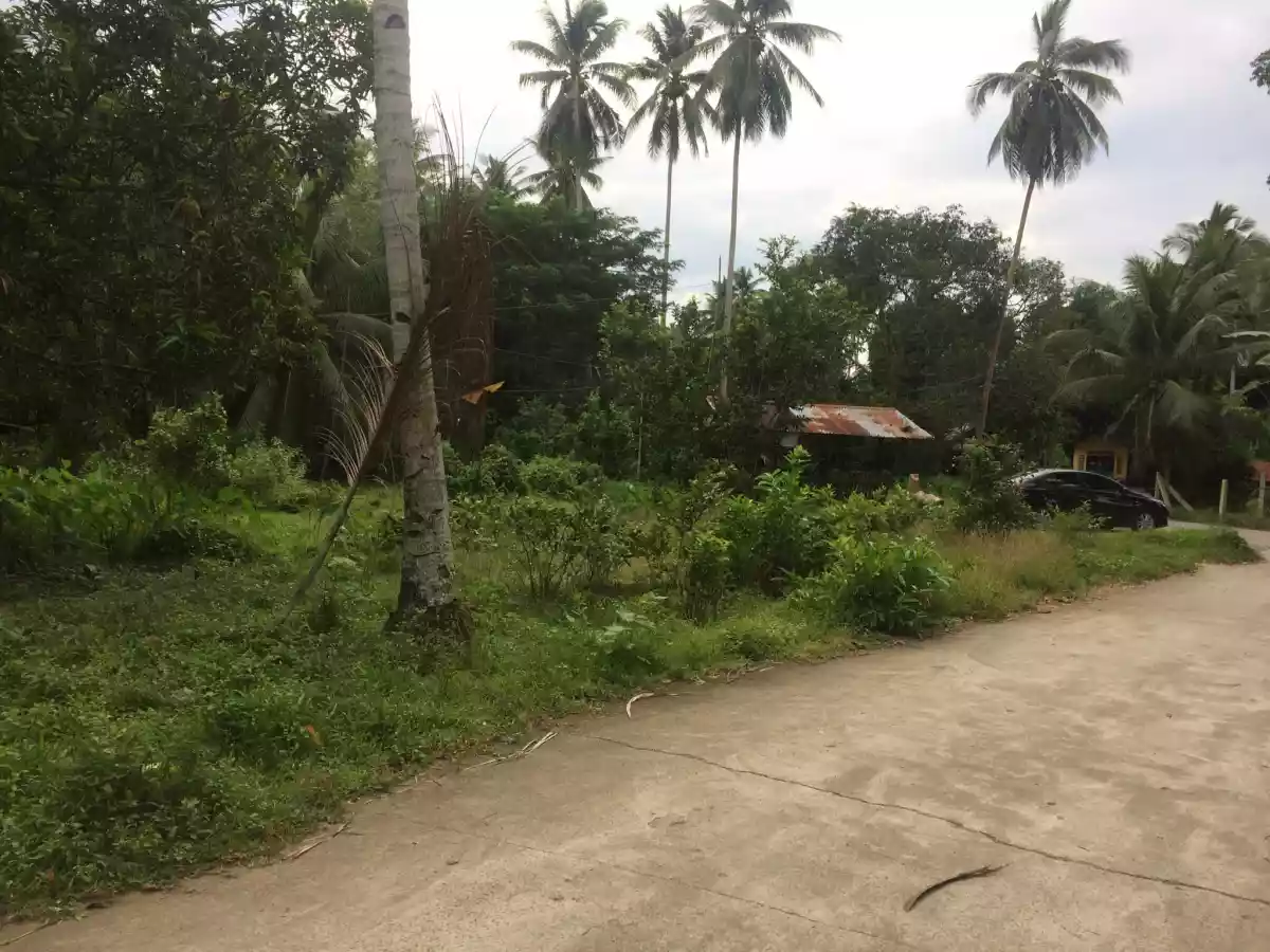 For Sale Titled Commercial Lot in Balamban Cebu — Commercial Lot in Cebu City, Cebu, Philippines — Photo 5