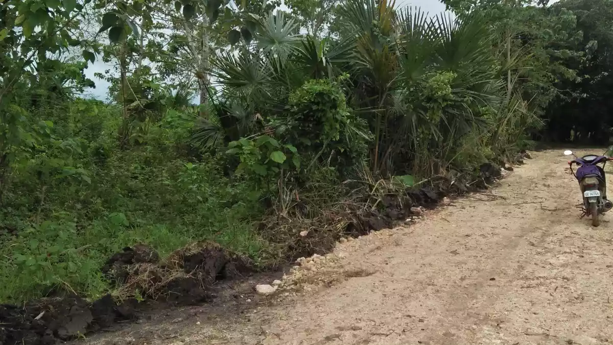 Agricultural Land in Bogo,  Cebu for Sale - photo 6