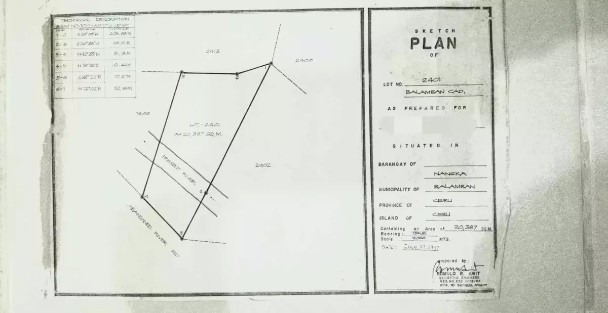 Two Hectares Farm Lot in Balamban, Cebu — Agricultural Lot in Immaculada Riverside, Nangka, Balamban — Photo 2