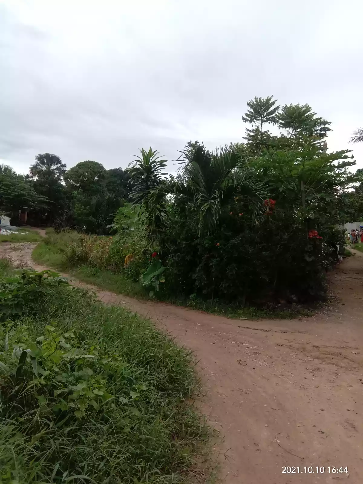 Yes,  Titled lot - photo 5