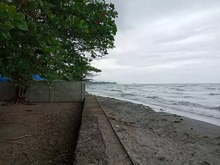 BEACH LOT FOR SALE IN DUMAGUETE CITY - photo 2